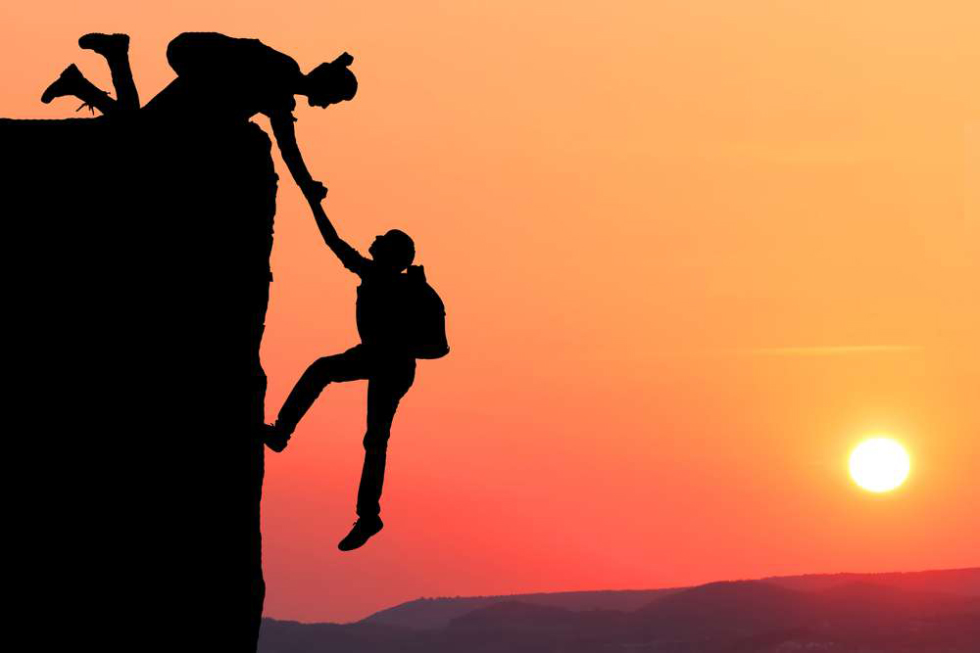 Your Trusted Partner